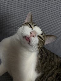 周