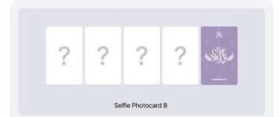 QWER 單封 wvs特典