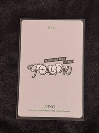 Dino Follow again 隨機卡