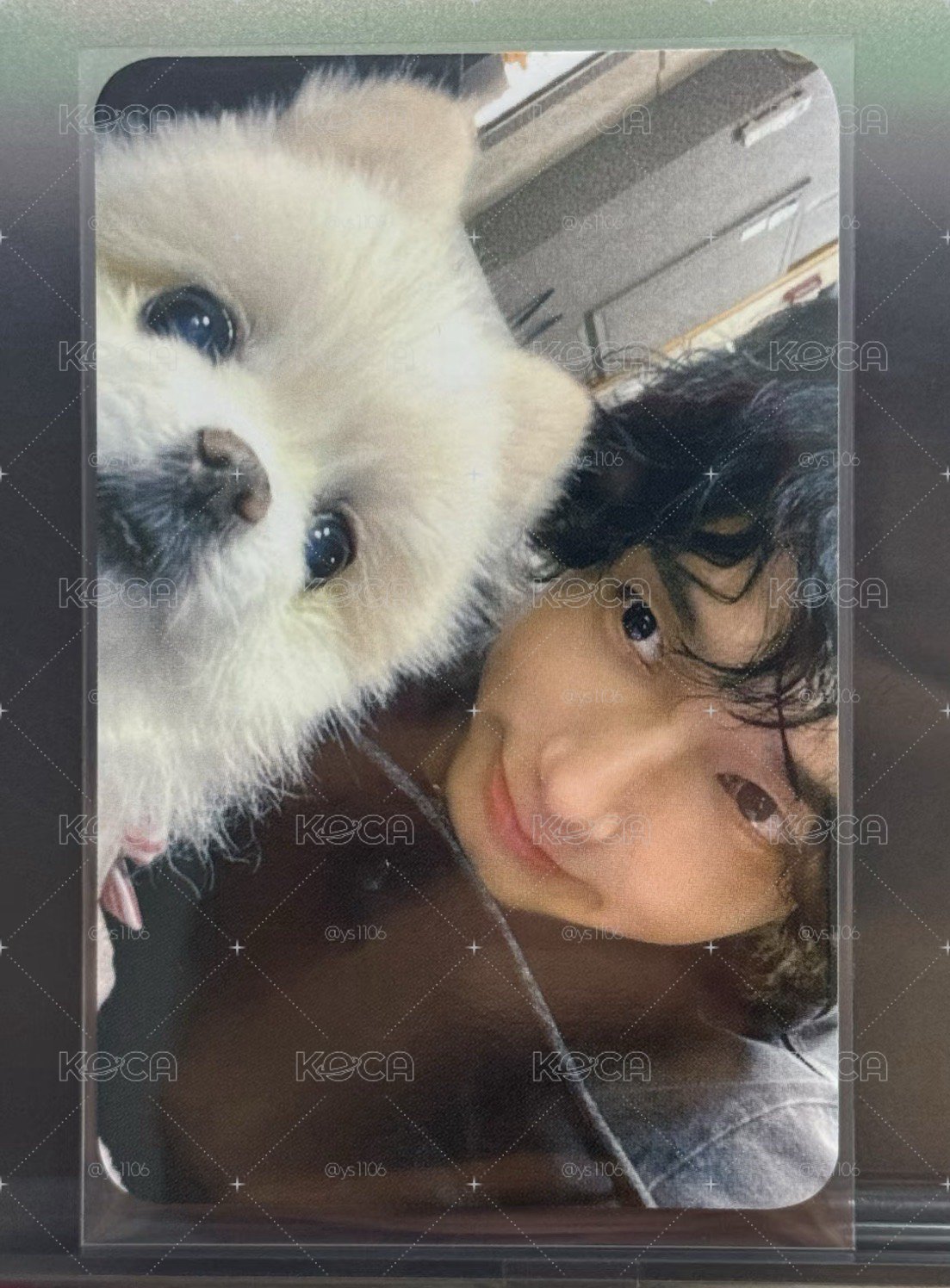 SUPER JUNIOR 藝聲狗狗卡 Melo 戒指卡