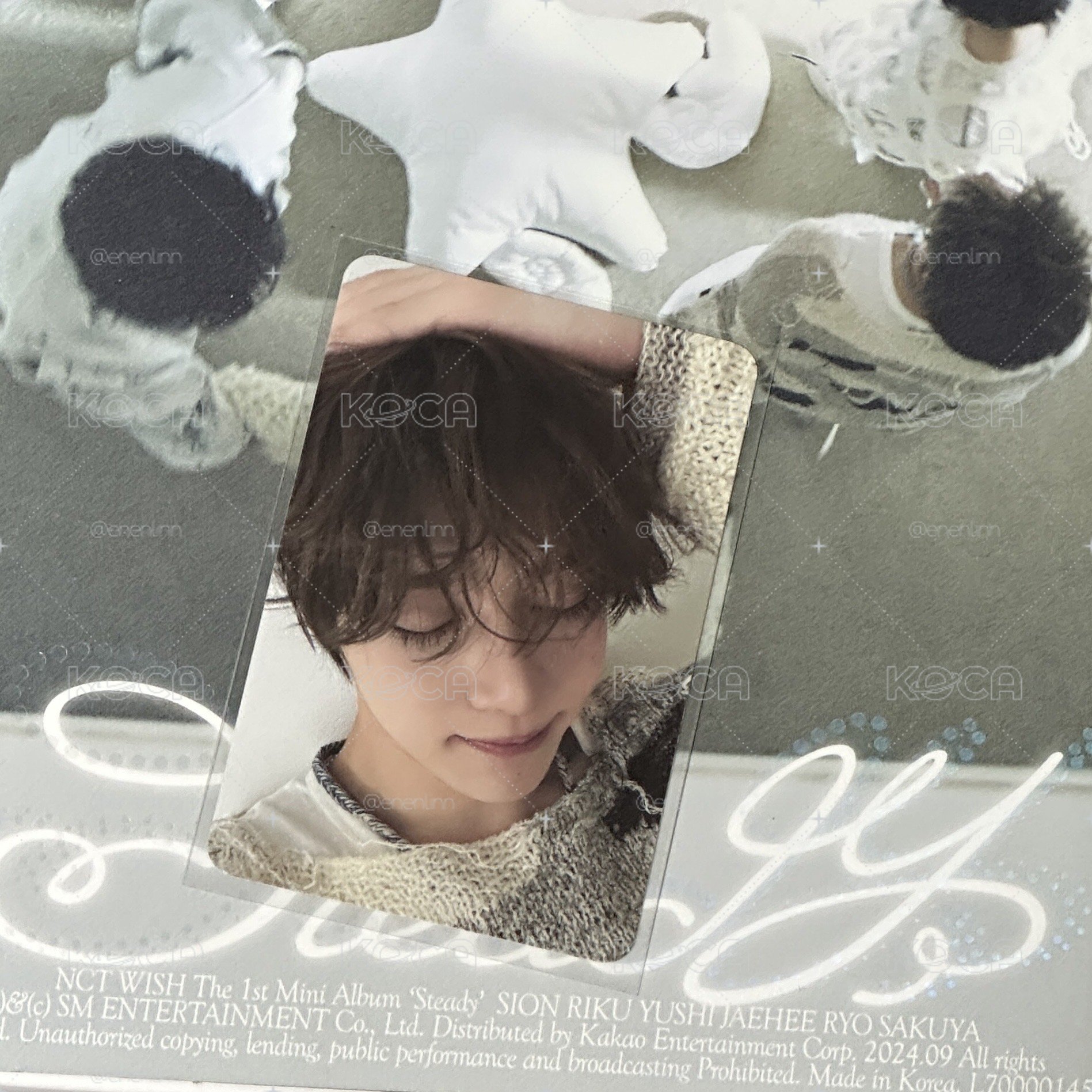 steady全專