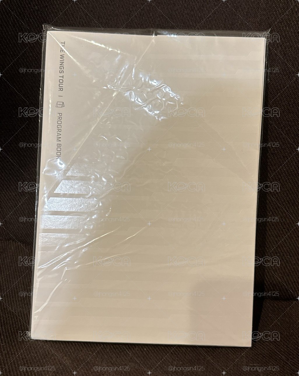 Wings Tour 寫真集 節目書