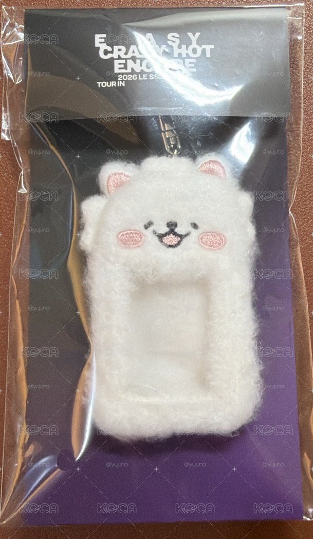 25‘巡迴 首爾安可 卡套 (組) 毛絨證件小卡套 FIM'S CLUB Mini Photo Holder 葉