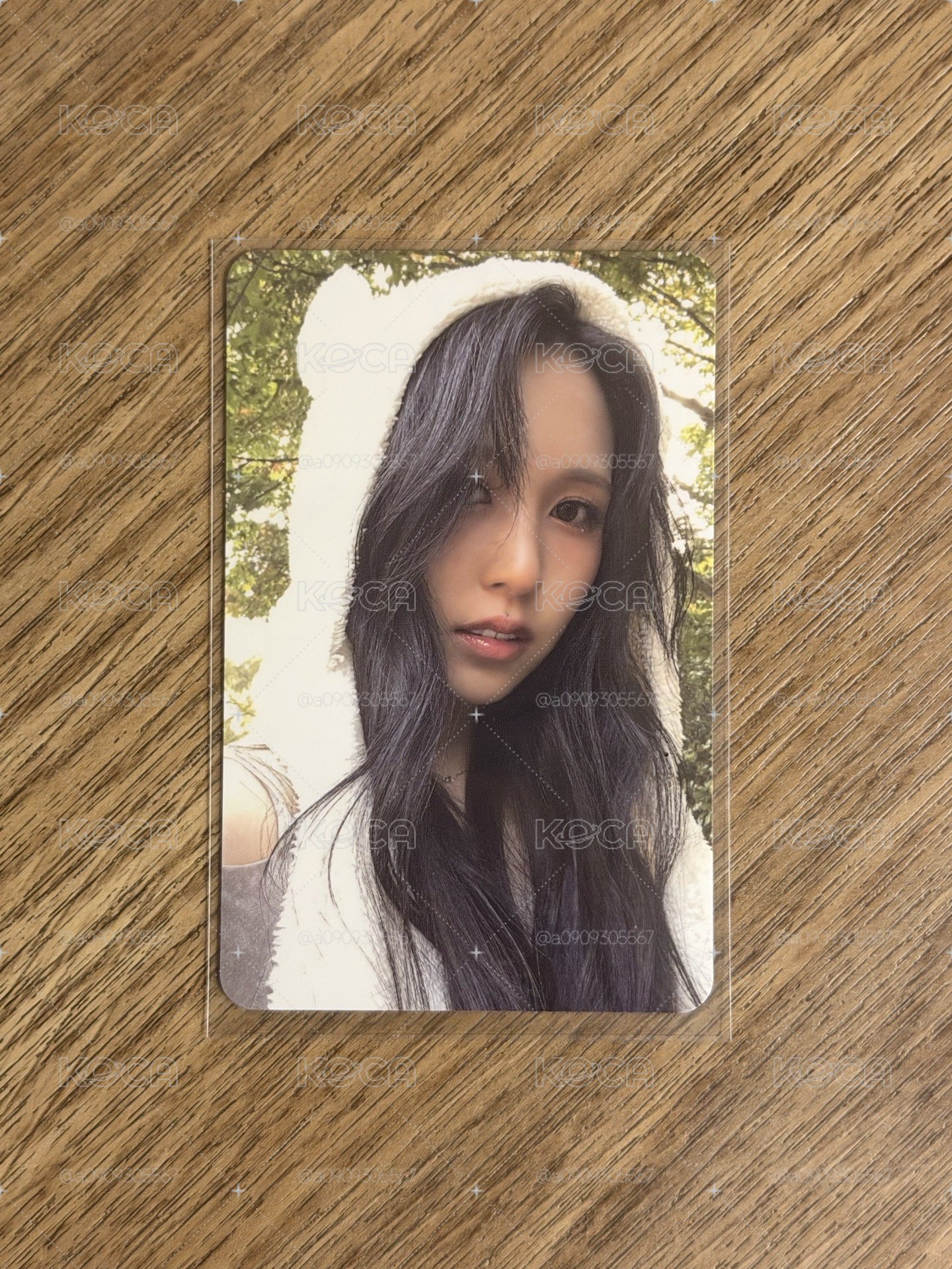 小熊momo