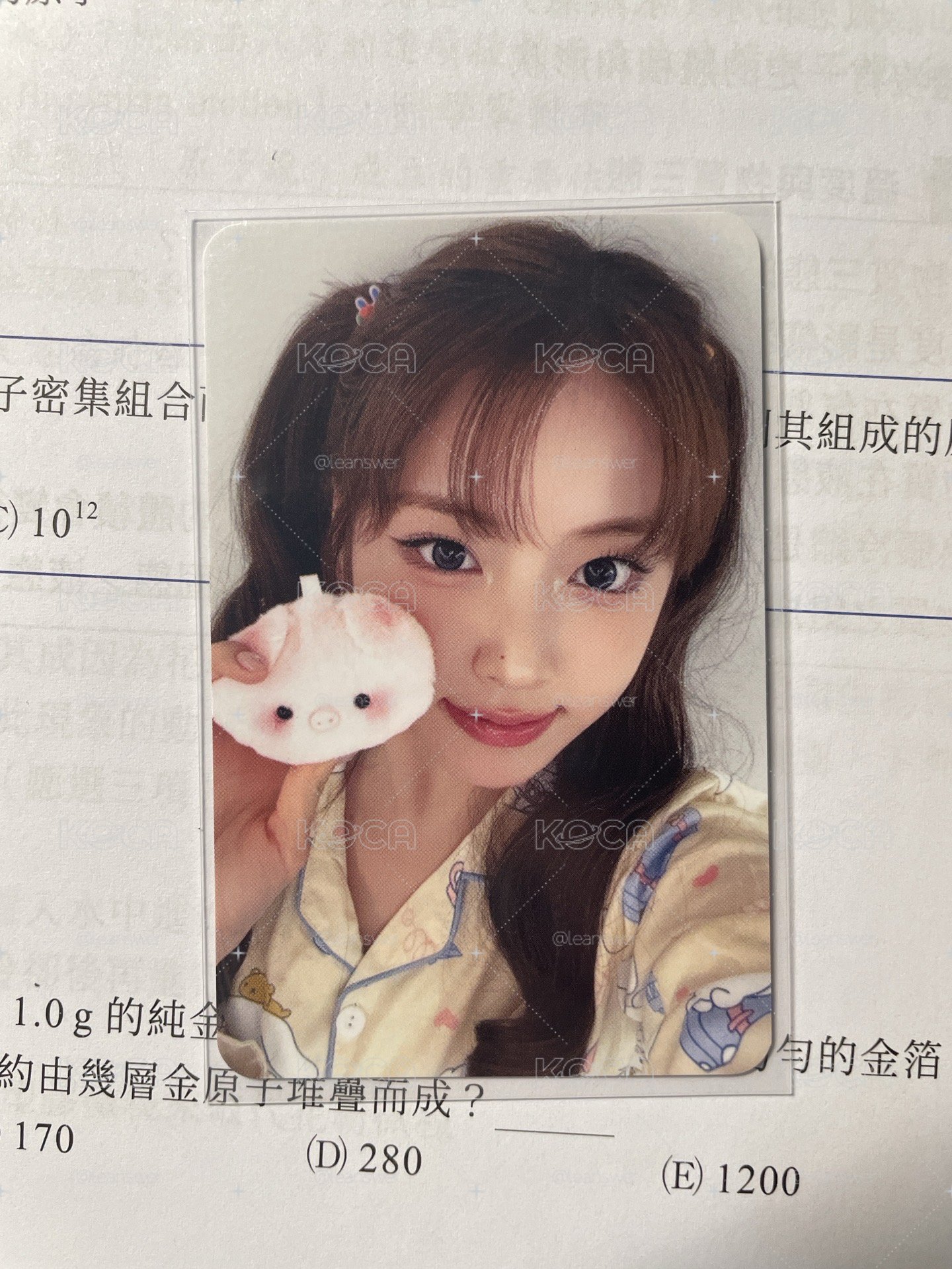 豬豬友