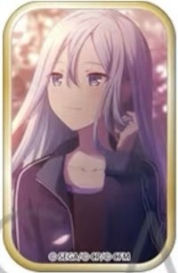 方徽 vol.9 B 徽章 IDS花前
