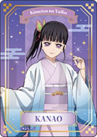 JF 2026 燙金 透明卡 