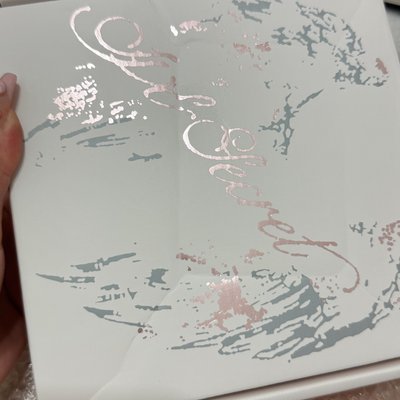 mini4 特別版 安全專