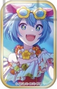 方徽 vol.13 A 徽章 泳裝花後