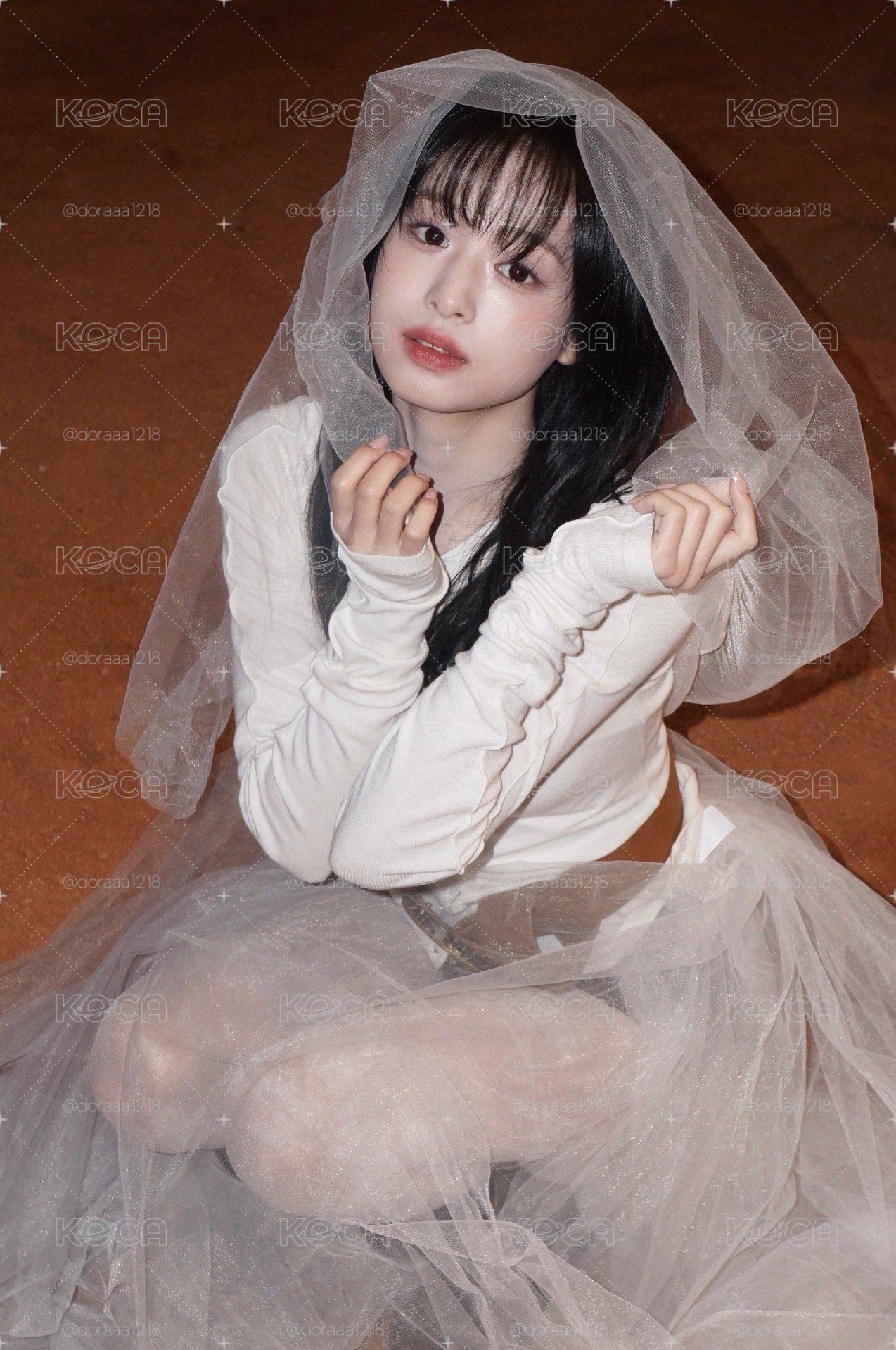 寶怪小盤