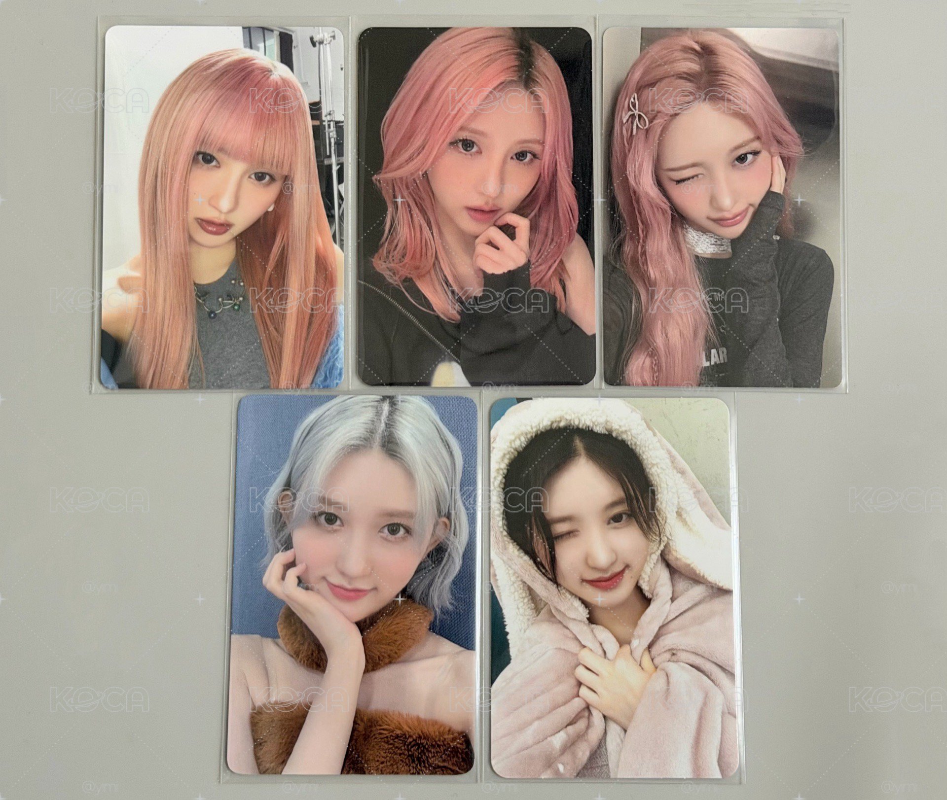 秋天小盤🐿️