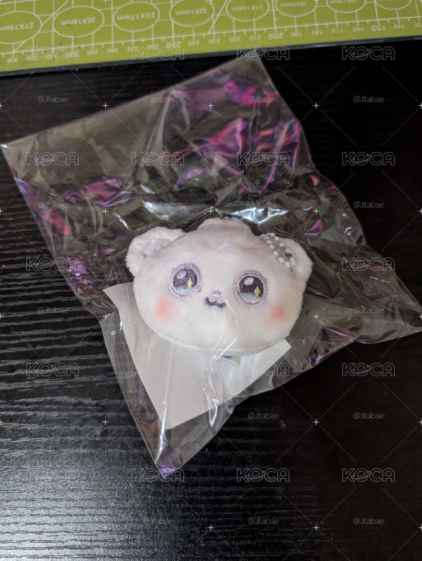 海嫄 吊娃