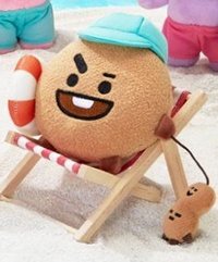 BT21 吊娃 