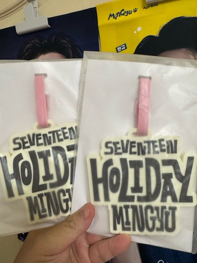 全新holiday奎行李吊牌