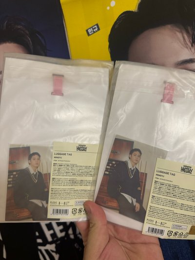 全新holiday奎行李吊牌