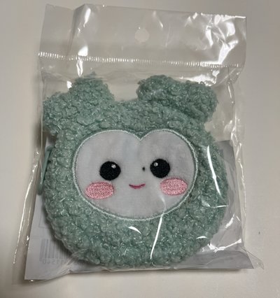 THIS IS FOR 新國立周邊 耳機包零錢包 現貨 SANA MINA