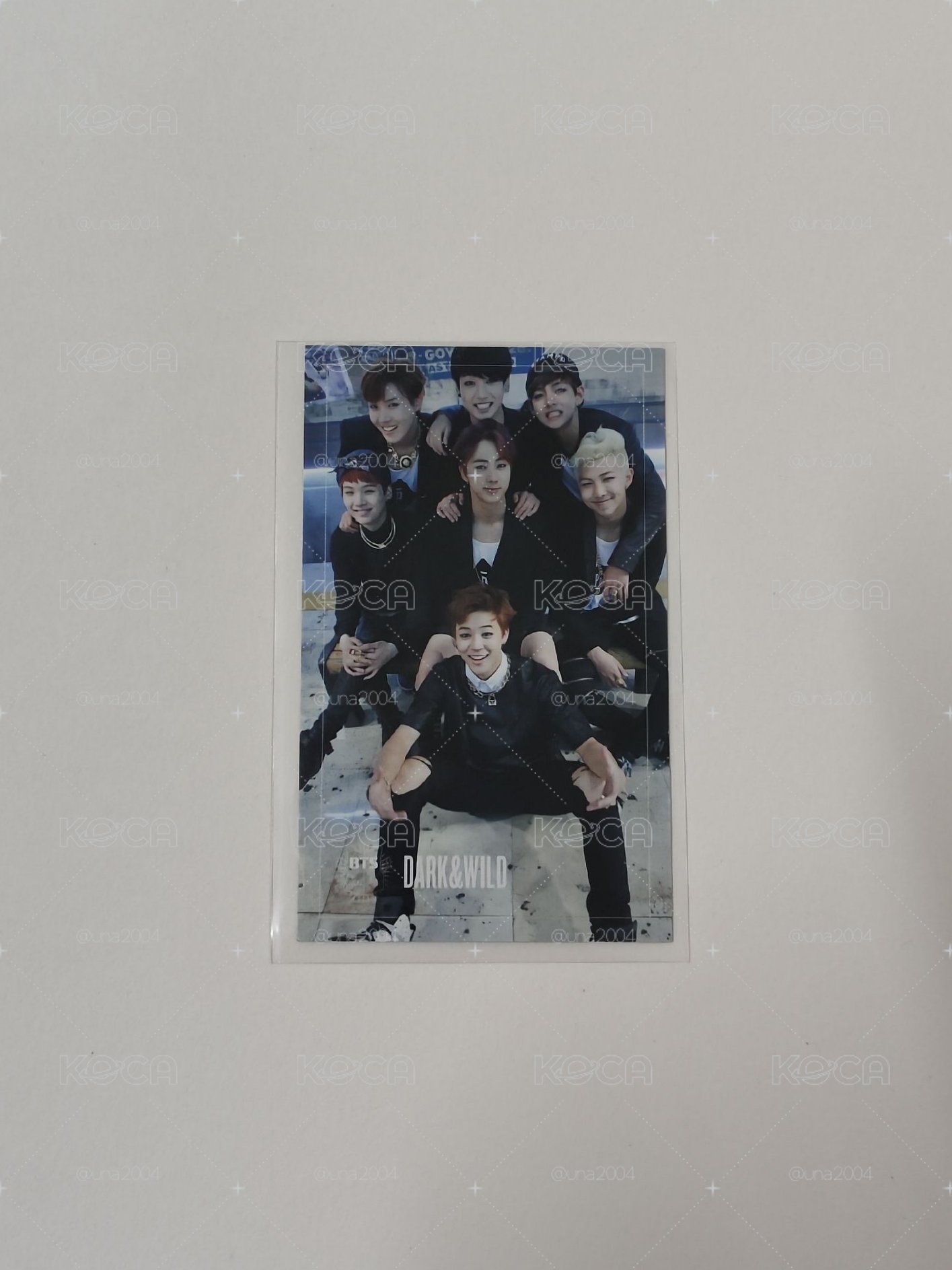 DARK & WILD 專輯團卡