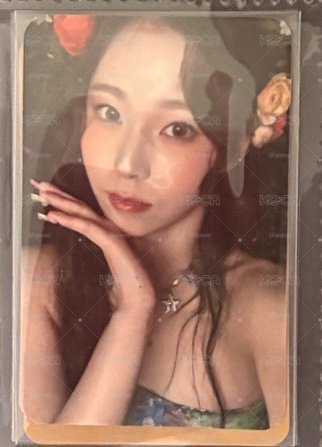 🩷jyp仲夏夜預售特典圭