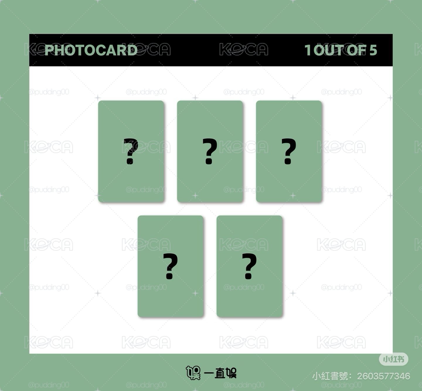 yzy 中文卡背