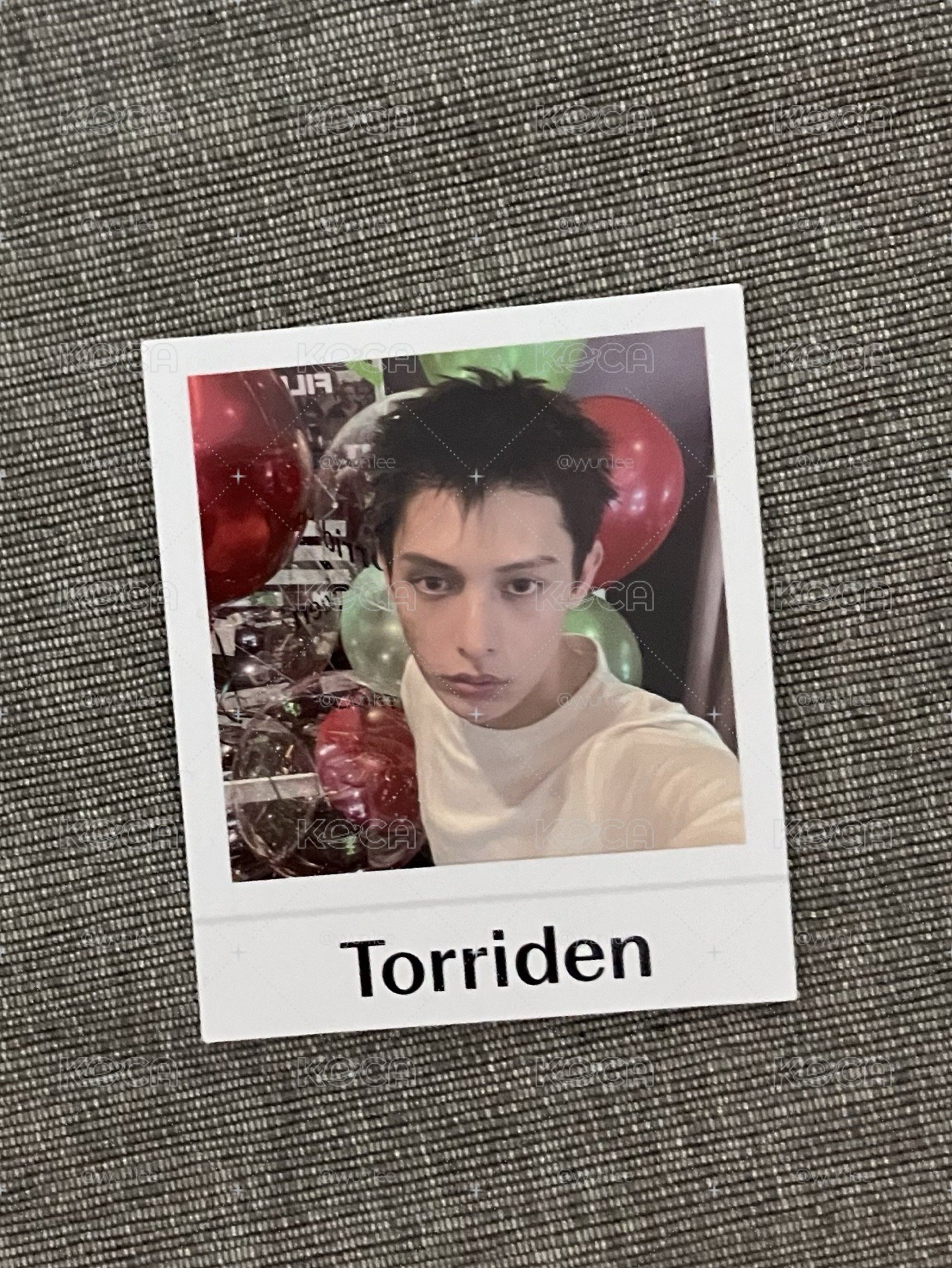 Torriden oy 代言凡