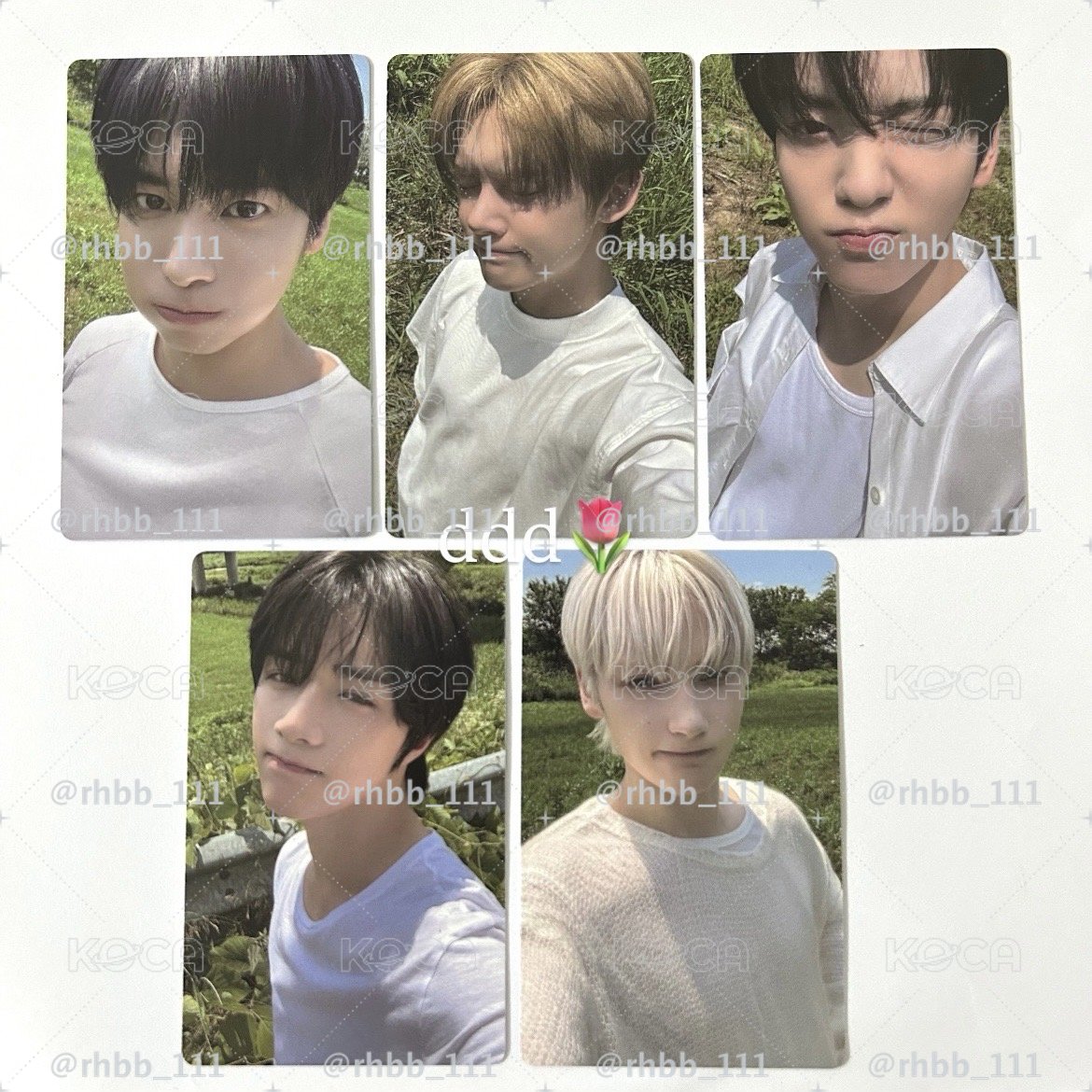 值得收藏的一組草地清純寶寶們