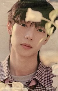 Sweet Dream Japan Special Edition  fnc 日專官網限定特典 貼紙 