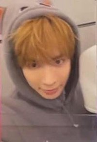 迷八 電子專 專輯卡 