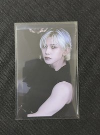 🐩Z版QR