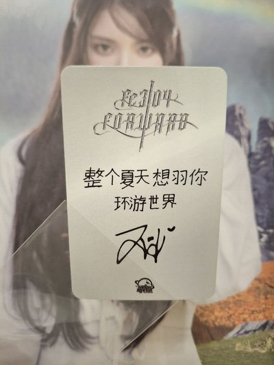 夏至未至友