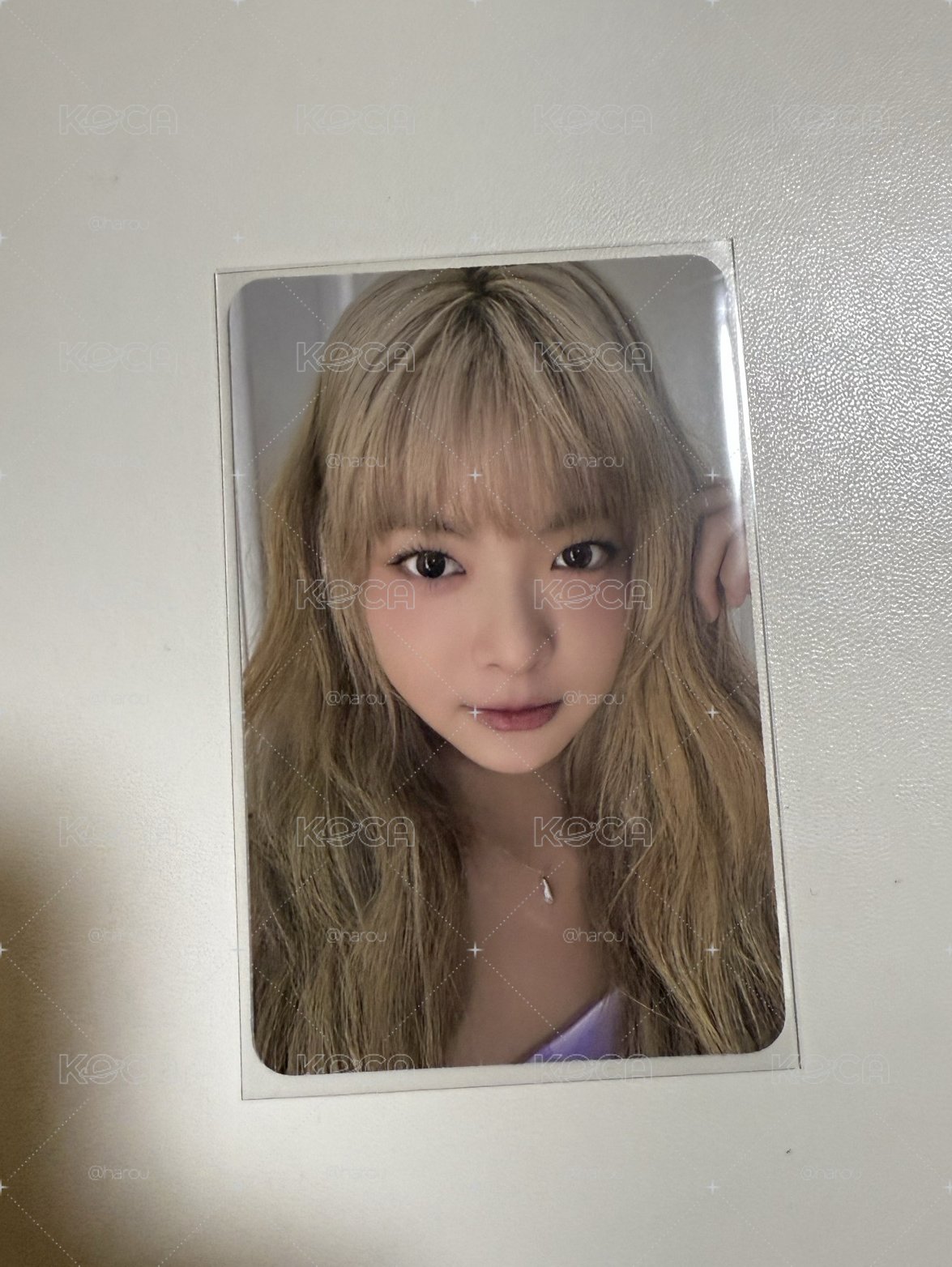 年曆採