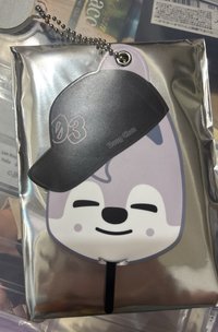 戴帽子🧢燦狼