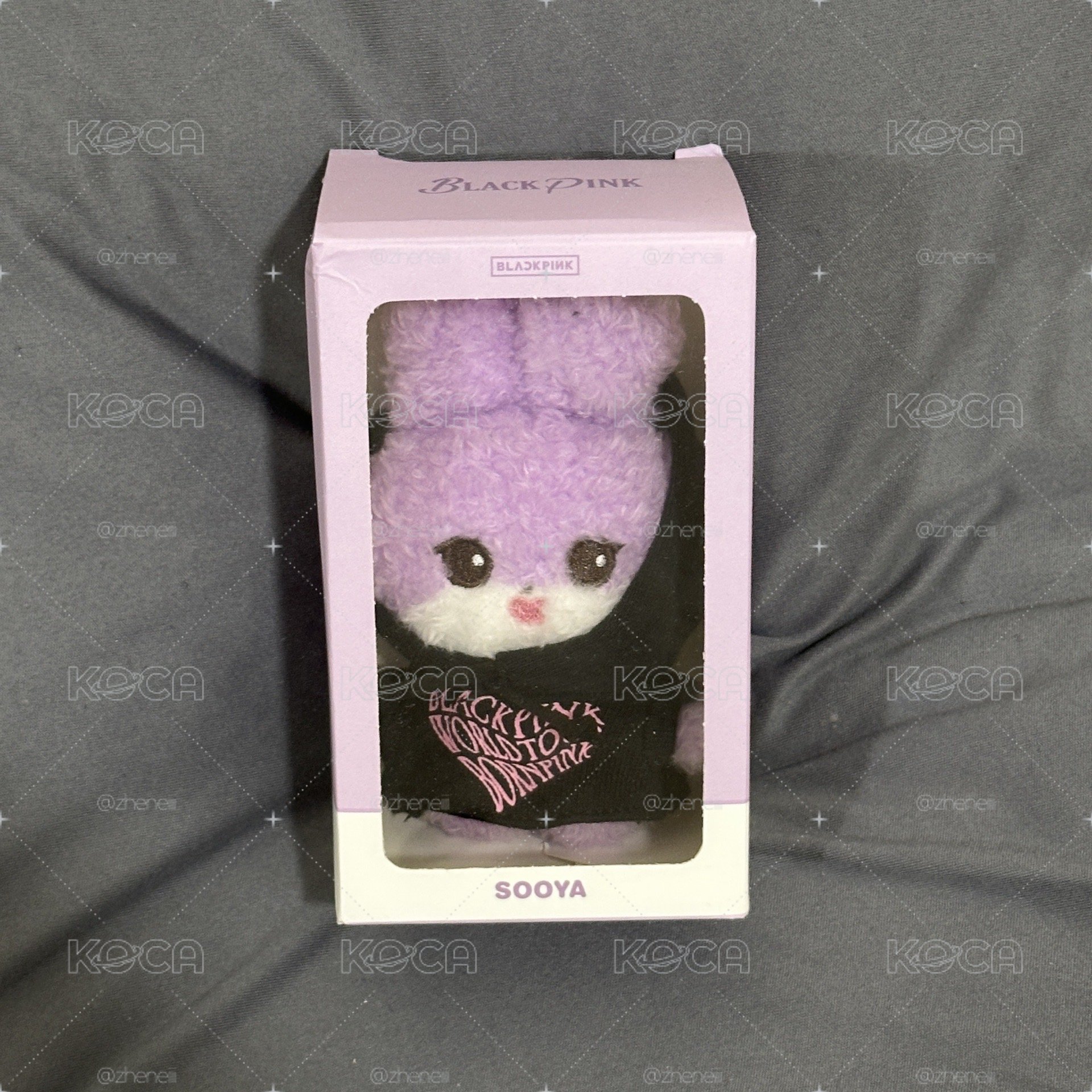 BORN PINK世巡 秀帽T娃