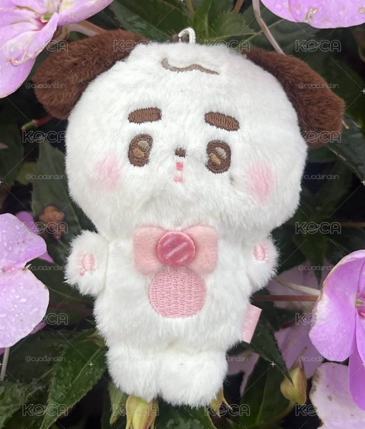 金廷祐 小狗娃 