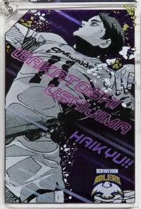 JS 壓克力磚 全員擊倒 骨牌