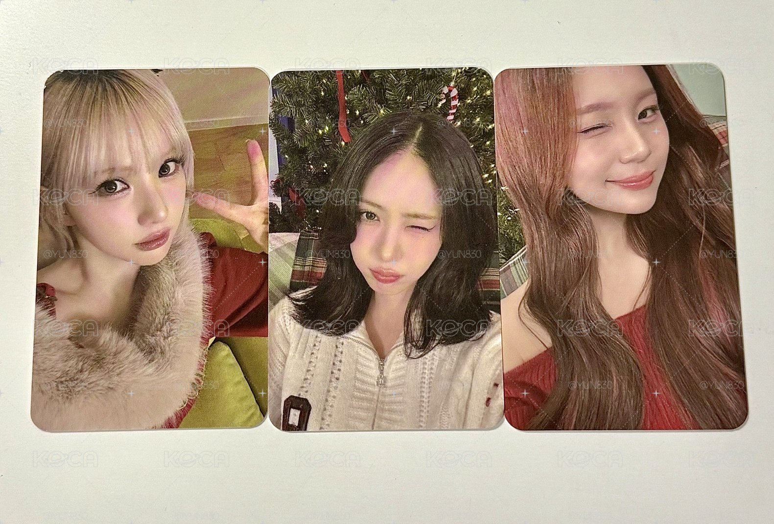 高雄櫻花季小卡