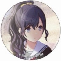 細閃 vol.17C 徽章 流浪者花前