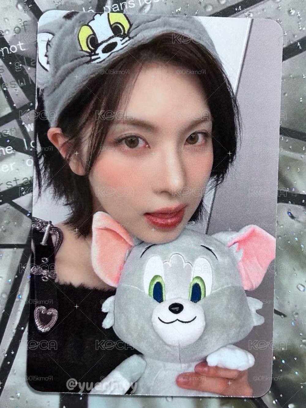 貓與老鼠裴