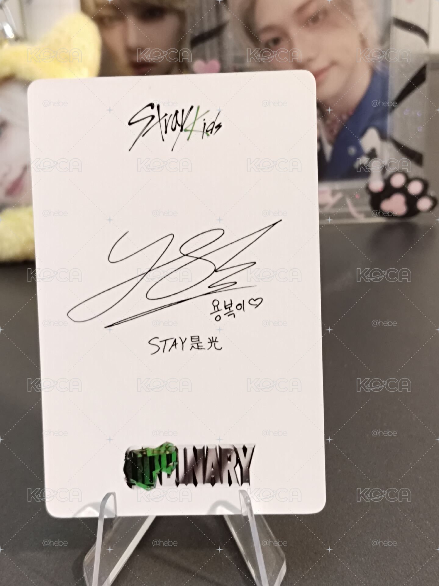 straykids Felix 中文卡背特典卡