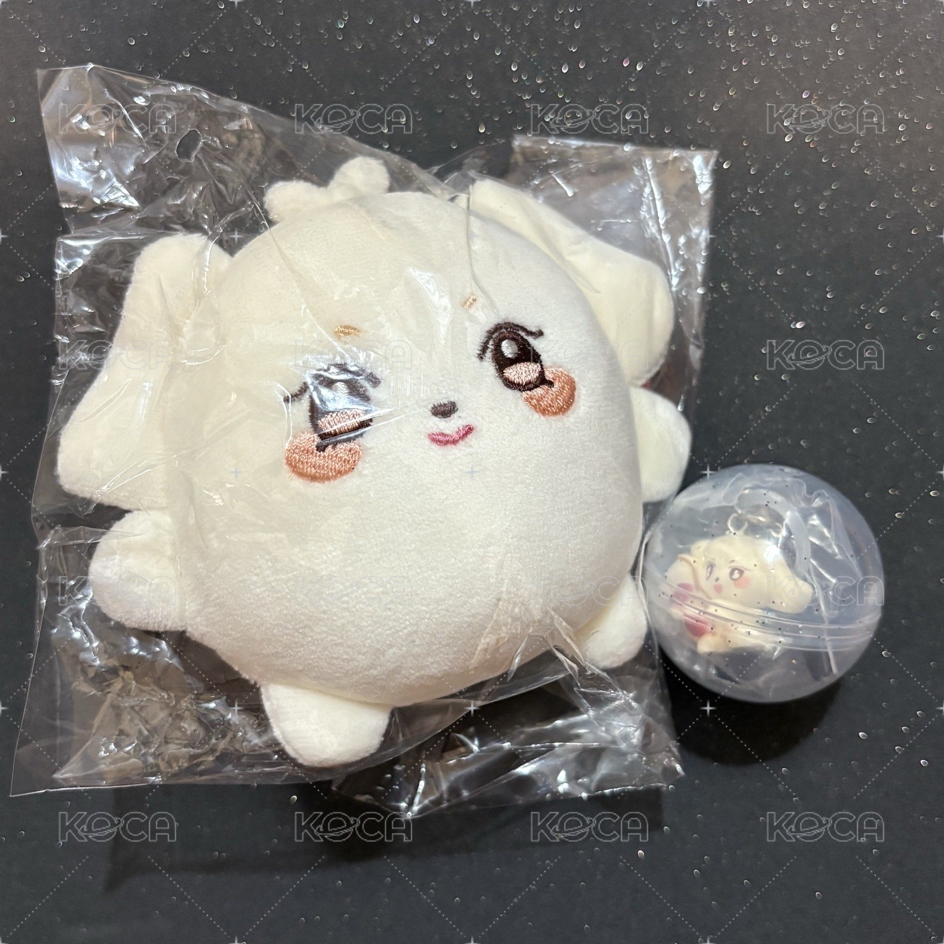 같이