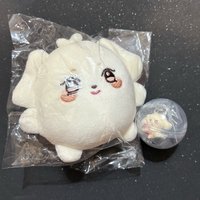 같이