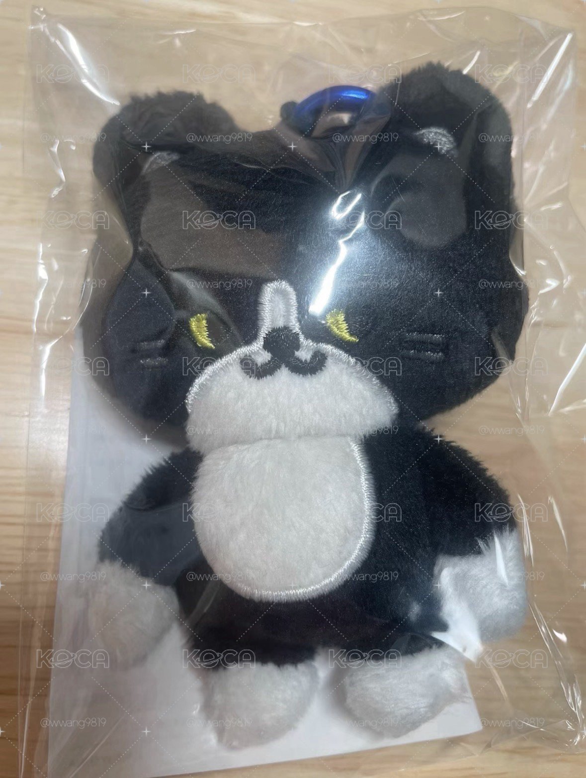 日周coco貓