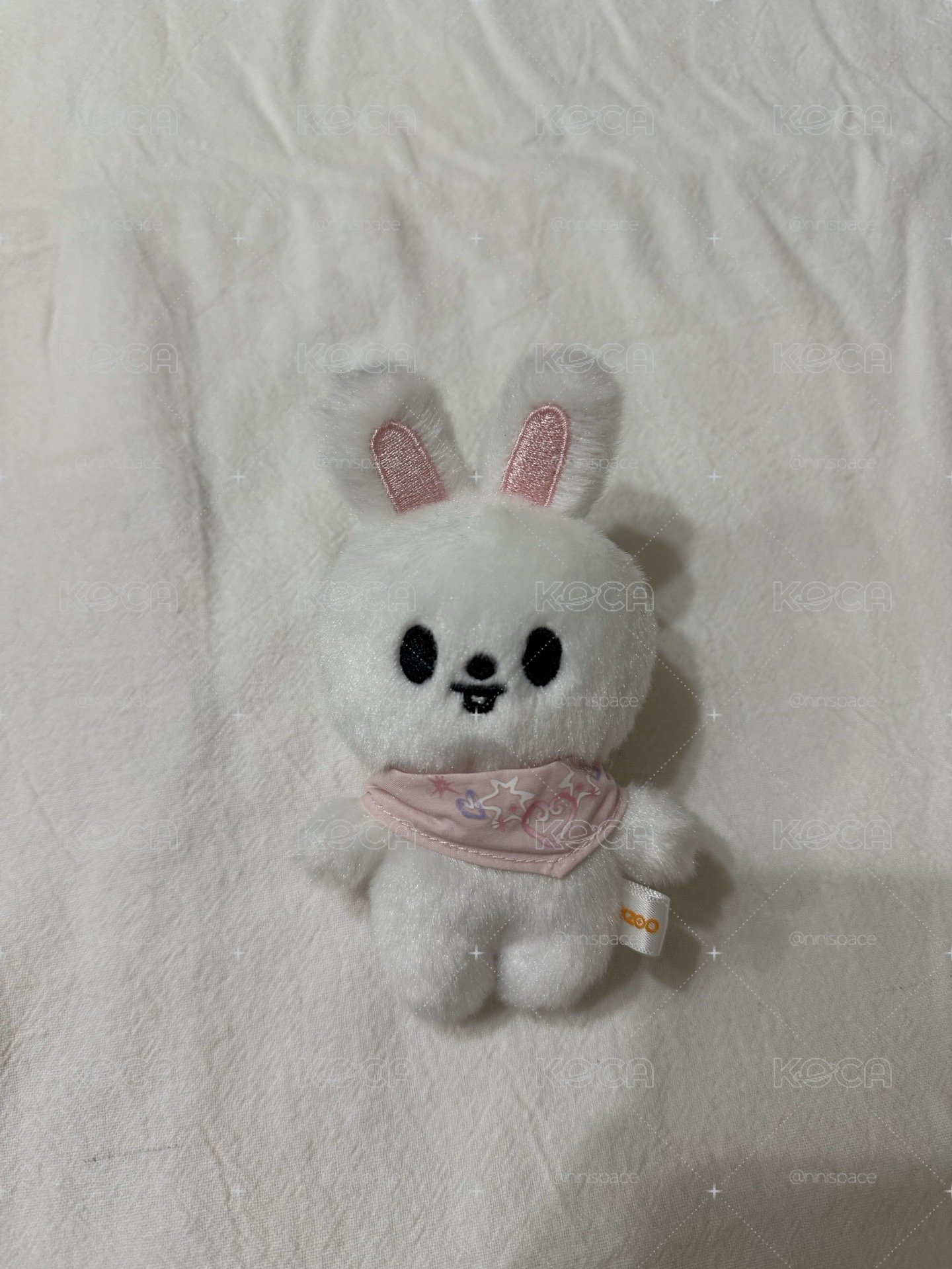 SKZ 迷孩 李畢 10cm飯咪娃 口水巾娃