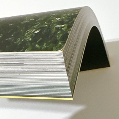 【洪知秀】Dicon雜誌