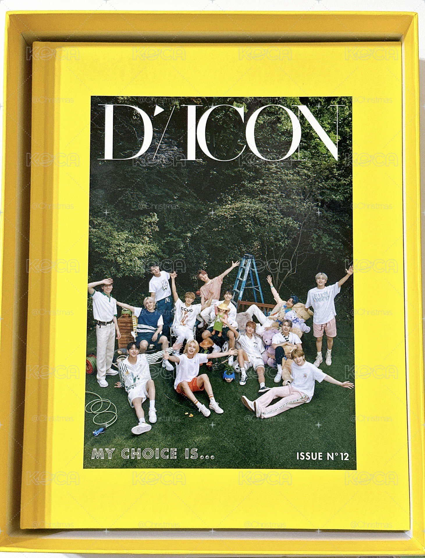 【Seventeen 】Dicon 團封
