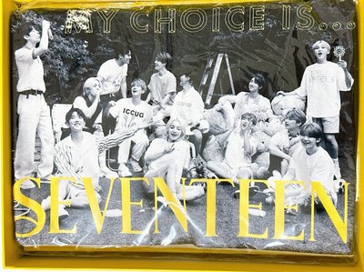 【Seventeen 】Dicon 團封