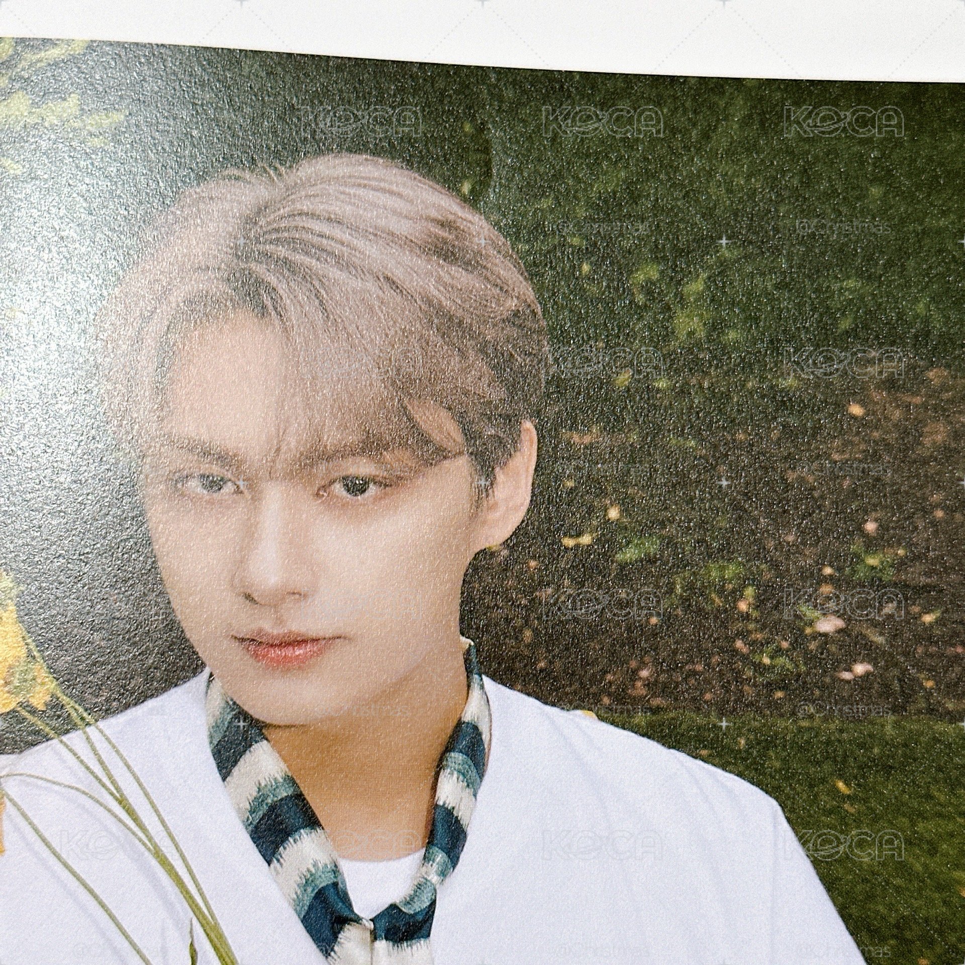 【Seventeen 】Dicon 團封