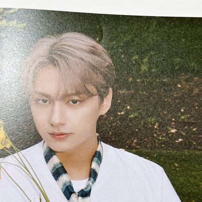 【Seventeen 】Dicon 團封