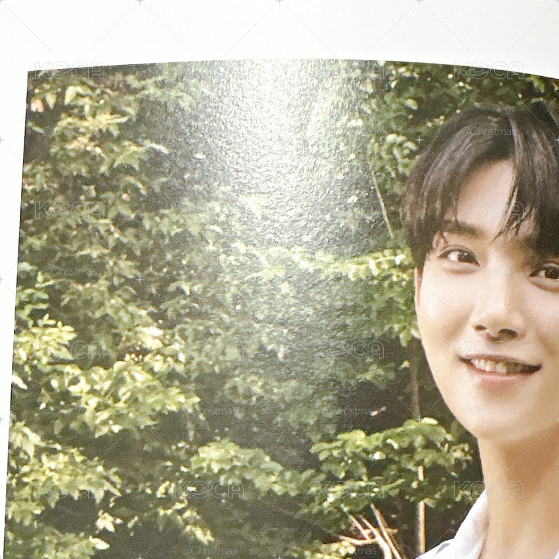 【Seventeen 】Dicon 團封