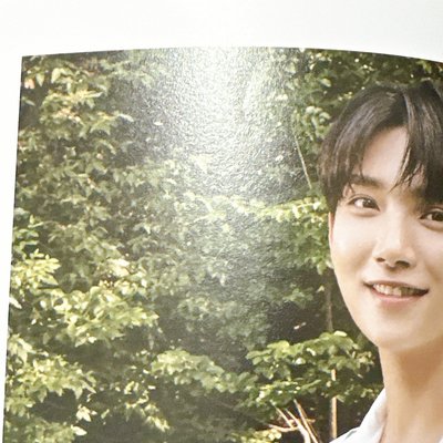 【Seventeen 】Dicon 團封
