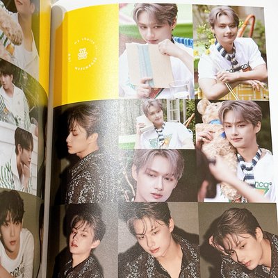 【Seventeen 】Dicon 團封